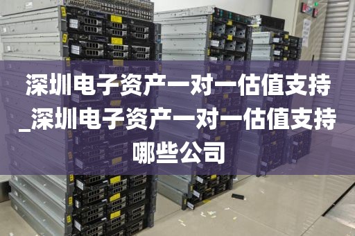 深圳电子资产一对一估值支持_深圳电子资产一对一估值支持哪些公司