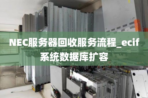 NEC服务器回收服务流程_ecif系统数据库扩容