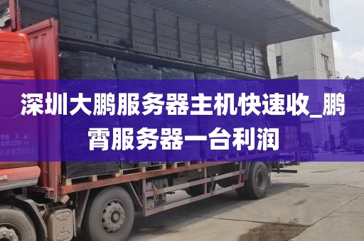 深圳大鹏服务器主机快速收_鹏霄服务器一台利润