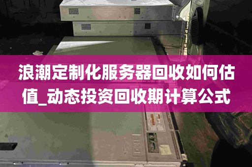 浪潮定制化服务器回收如何估值_动态投资回收期计算公式