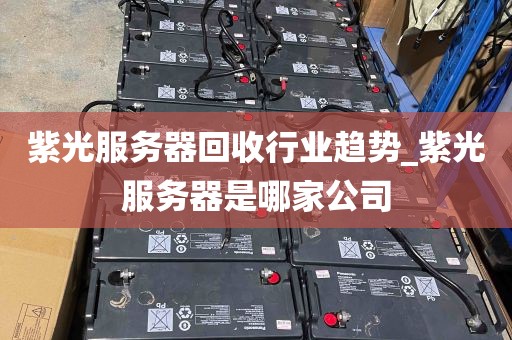 紫光服务器回收行业趋势_紫光服务器是哪家公司