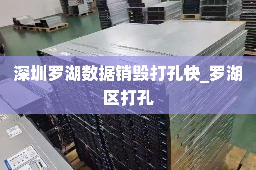 深圳罗湖数据销毁打孔快_罗湖区打孔